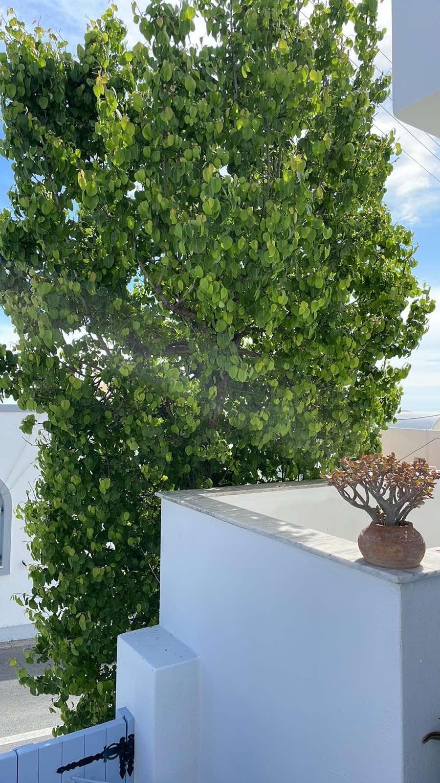 Elkaza Villas Fira  Exterior foto